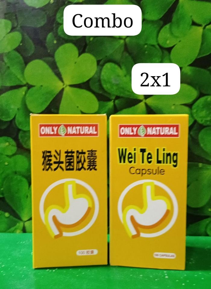 Wei Te Ling (猴头菌)
